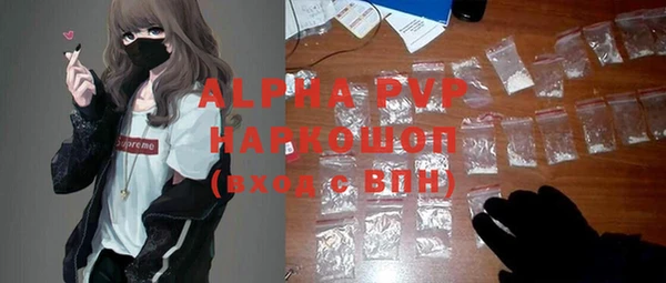 ECSTASY Каменка
