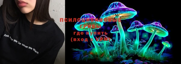 a pvp Каменногорск