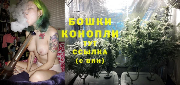 ECSTASY Каменка