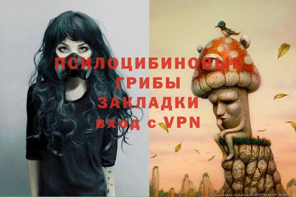 a pvp Каменск-Шахтинский