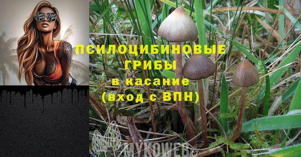a pvp Каменск-Шахтинский
