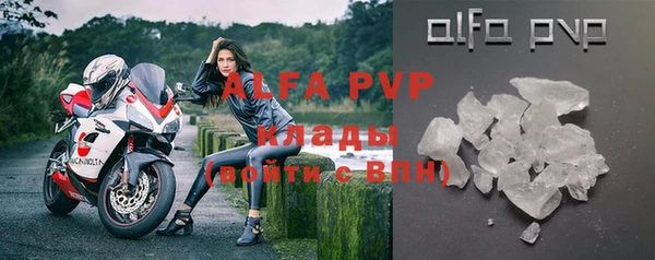 a pvp Каменногорск