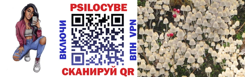 Купить закладки  Кудымкар  Галлюциногенные грибы ЛСД 